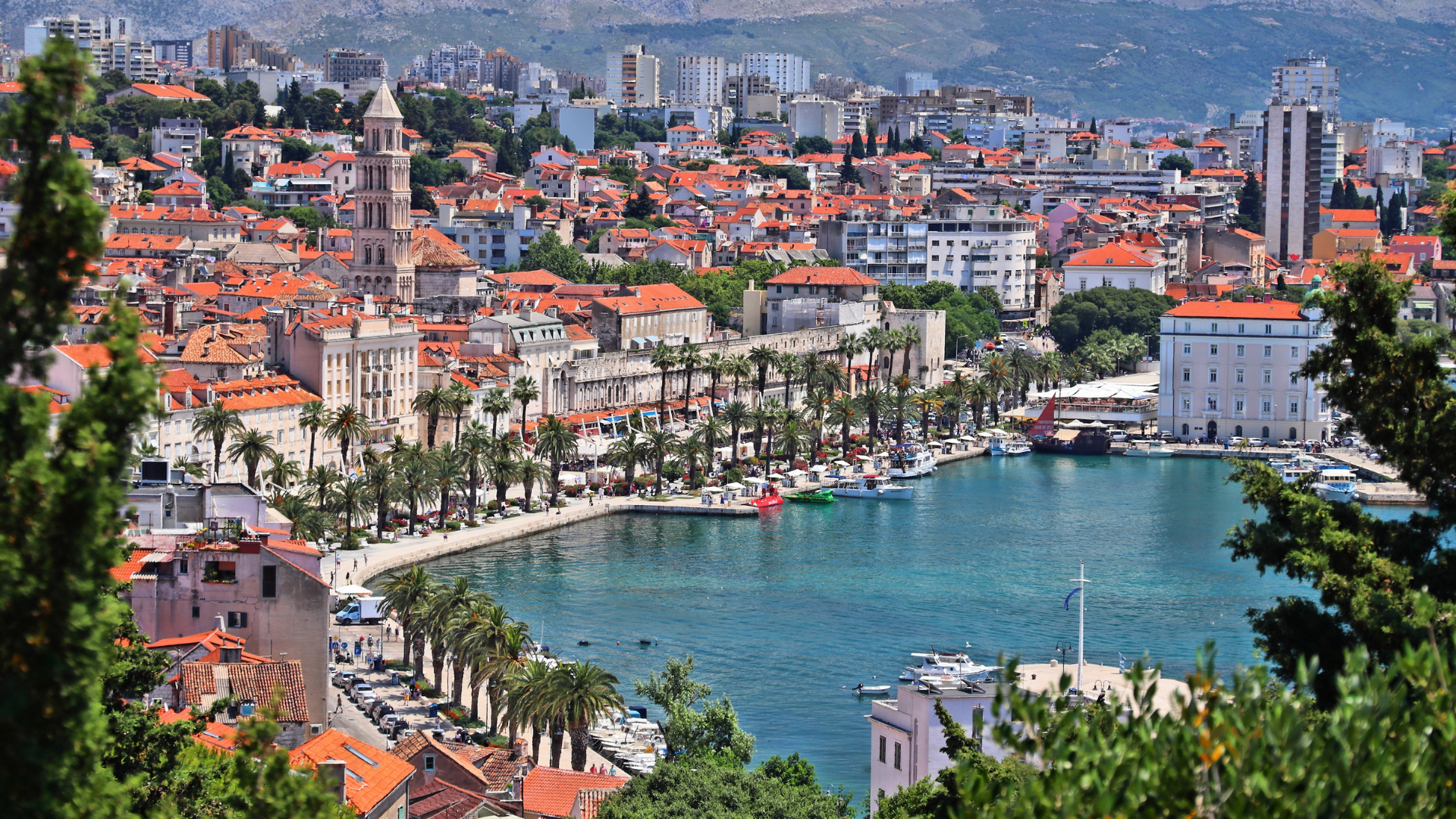 Join Ice Rebus in Split This September